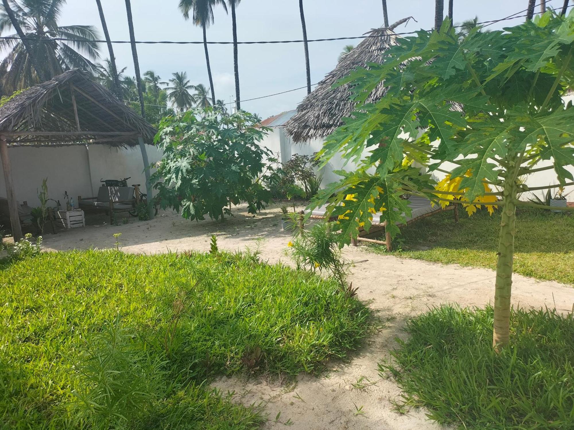 Mambo Leo Hostel Paje Exterior photo