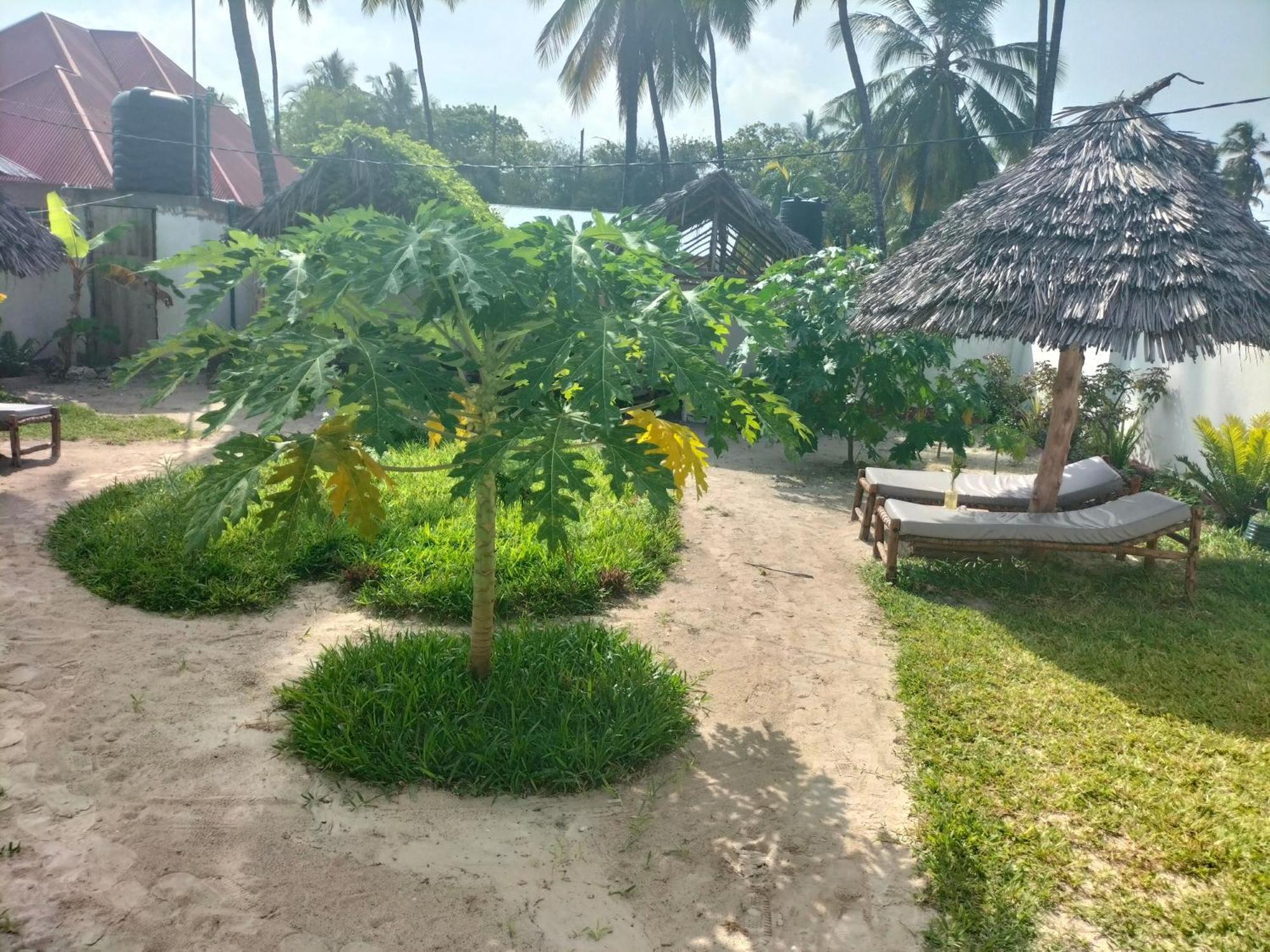Mambo Leo Hostel Paje Exterior photo
